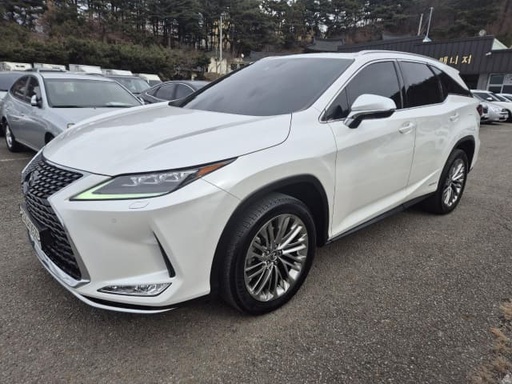 2020 LEXUS RX