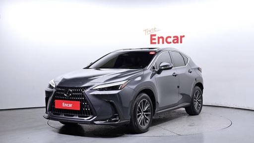 2024 LEXUS NX