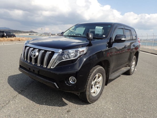 2017 TOYOTA Land Cruiser Prado