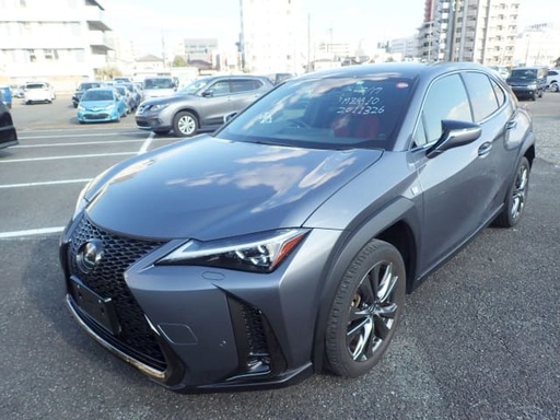 2019 LEXUS UX