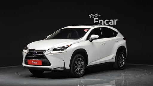 2017 LEXUS NX
