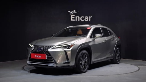 2020 LEXUS UX