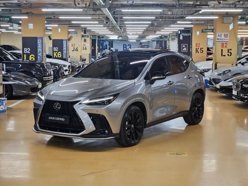 2025 LEXUS NX