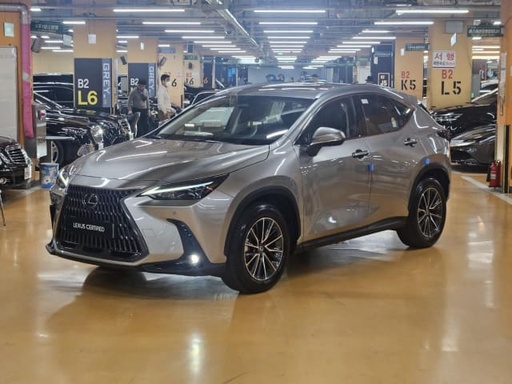 2025 LEXUS NX
