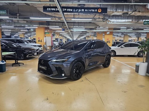 2025 LEXUS NX, 