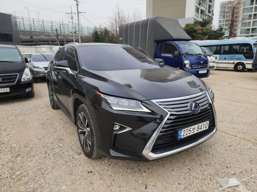 2019 LEXUS RX