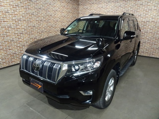 2019 TOYOTA Land Cruiser Prado