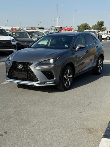 2019 LEXUS NX