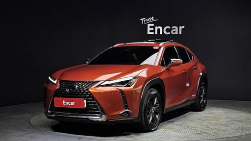 2019 LEXUS UX