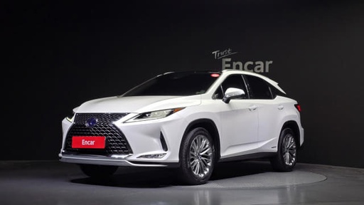 2020 LEXUS RX