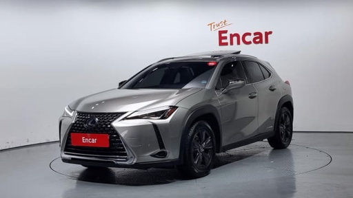 2019 LEXUS UX