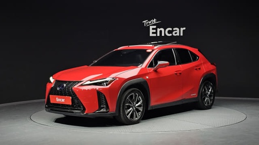 2020 LEXUS UX