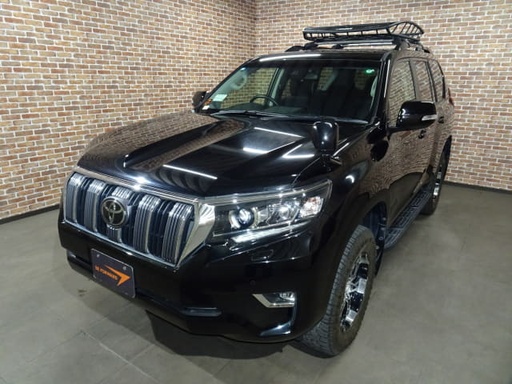 2019 TOYOTA Land Cruiser Prado