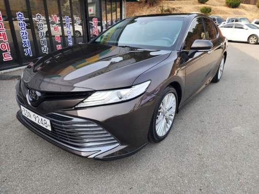 2019 TOYOTA Camry