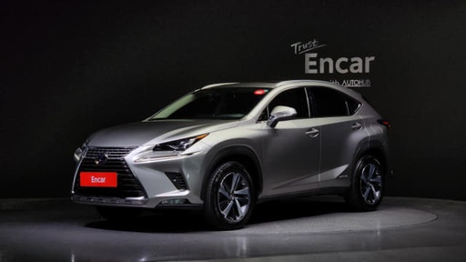 2020 LEXUS NX