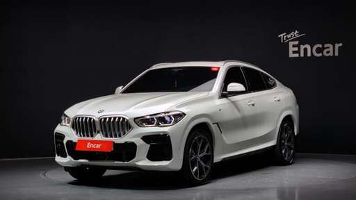 2023 BMW X6