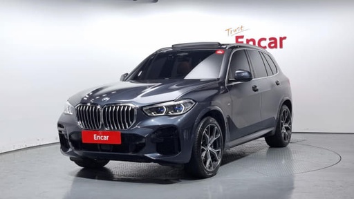 2022 BMW X5, 