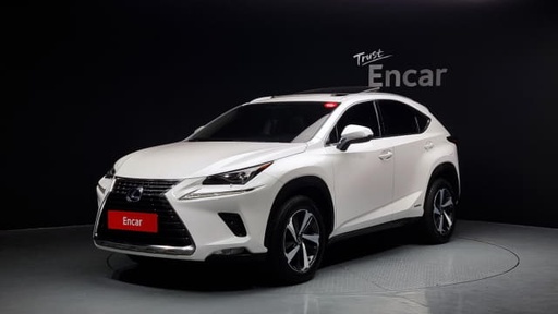 2018 LEXUS NX