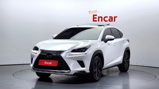 2020 LEXUS NX