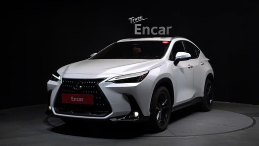 2025 LEXUS NX