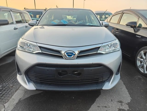 2019 TOYOTA Corolla Axio