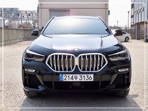2021 BMW X6