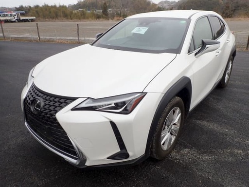 2019 LEXUS UX, 