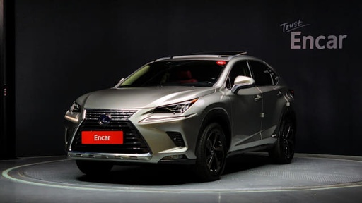 2021 LEXUS NX