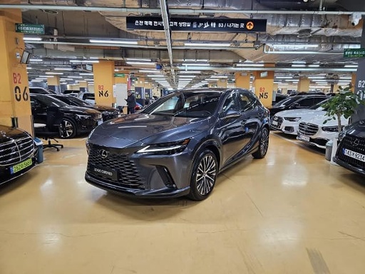 2024 LEXUS RX, 