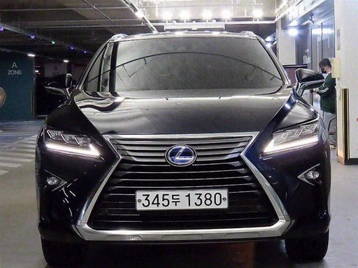 2019 LEXUS RX