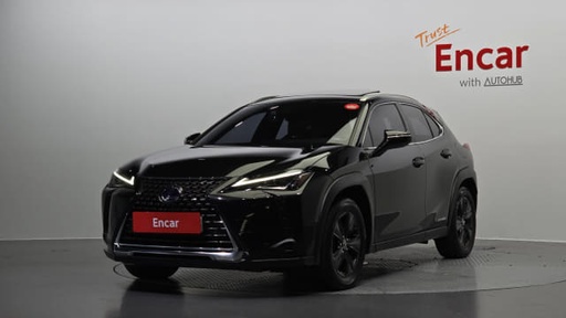 2019 LEXUS UX
