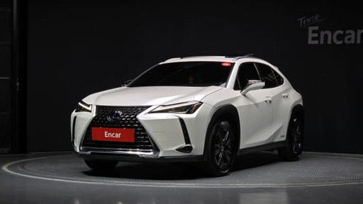2020 LEXUS UX