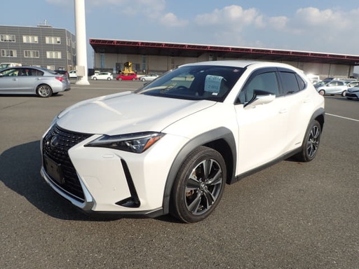 2019 LEXUS UX