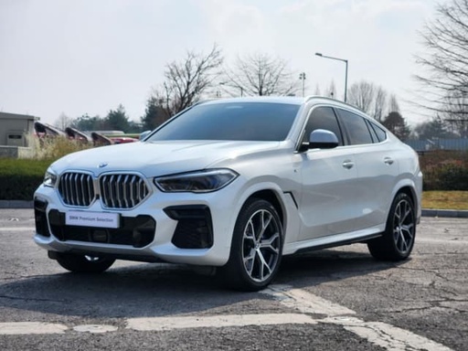 2022 BMW X6