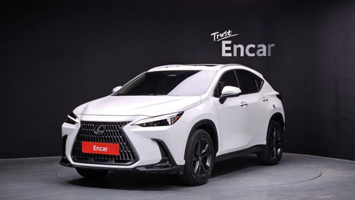 2025 LEXUS NX