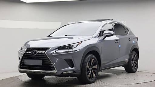 2020 LEXUS NX