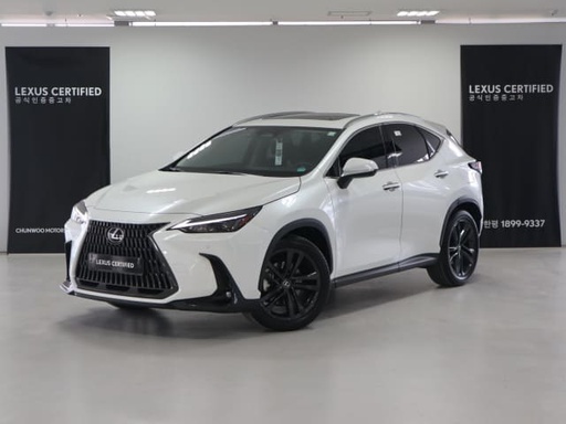 2025 LEXUS NX
