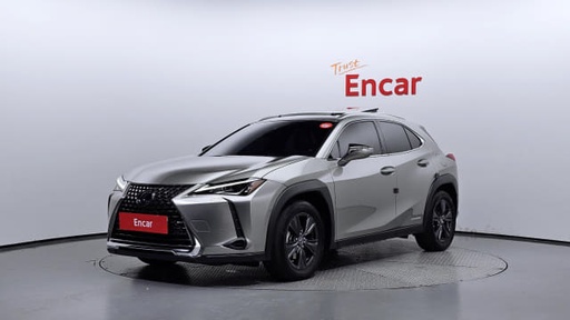 2020 LEXUS UX