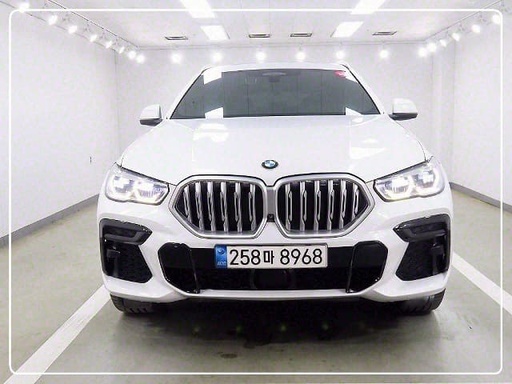 2022 BMW X6