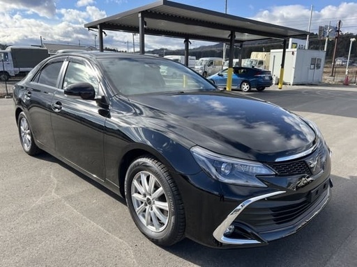 2019 TOYOTA Mark X