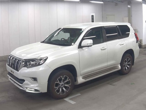 2019 TOYOTA Land Cruiser Prado