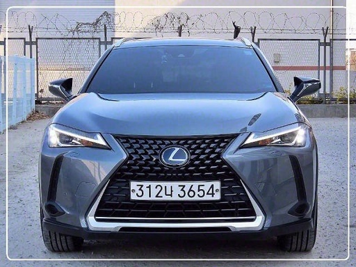 2020 LEXUS UX