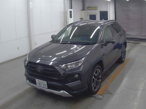 2019 TOYOTA RAV4
