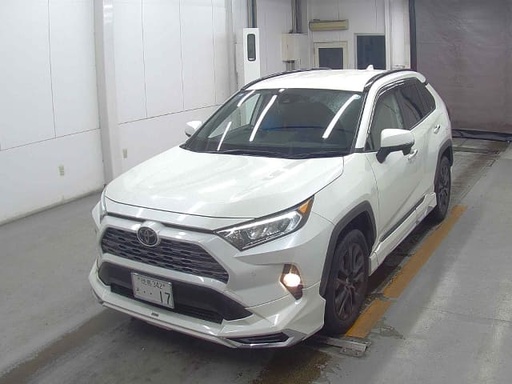 2019 TOYOTA RAV4, 