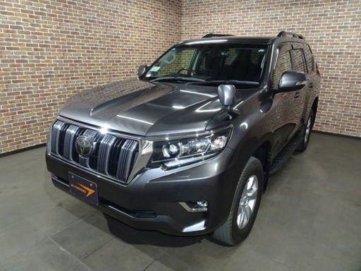 2019 TOYOTA Land Cruiser Prado