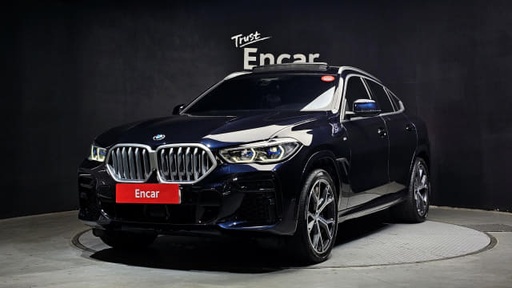 2023 BMW X6