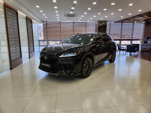 2024 LEXUS RX