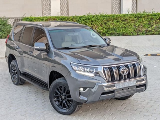 2019 TOYOTA Land Cruiser Prado