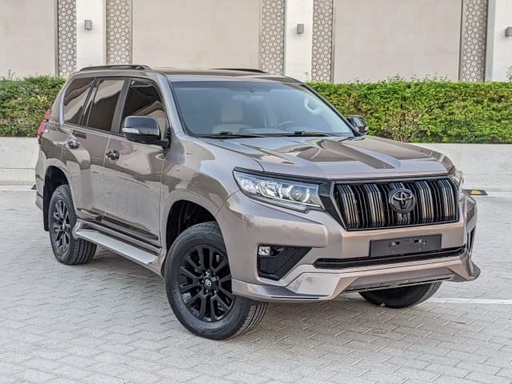 2019 TOYOTA Land Cruiser Prado