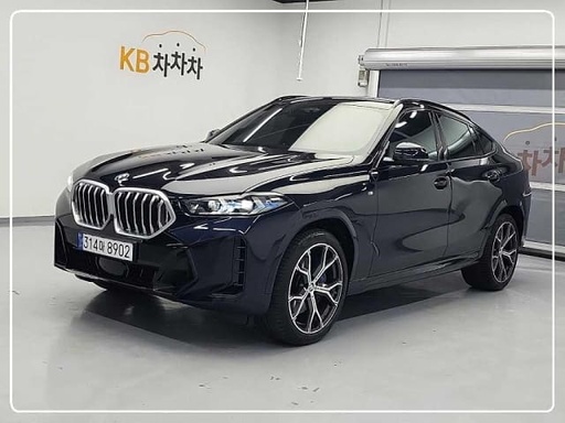 2024 BMW X6